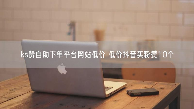 ks赞自助下单平台网站低价 低价抖音买粉赞10个