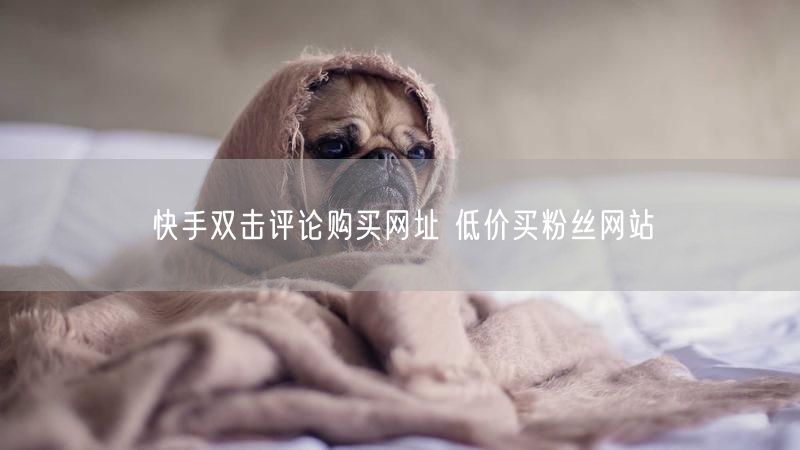 快手双击评论购买网址 低价买粉丝网站