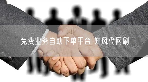 免费业务自助下单平台 知风代网刷
