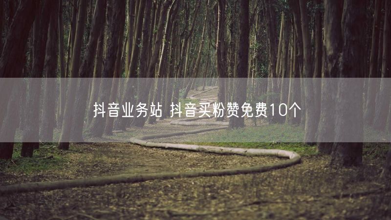 抖音业务站 抖音买粉赞免费10个