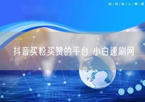 抖音买粉买赞的平台 小白速刷网