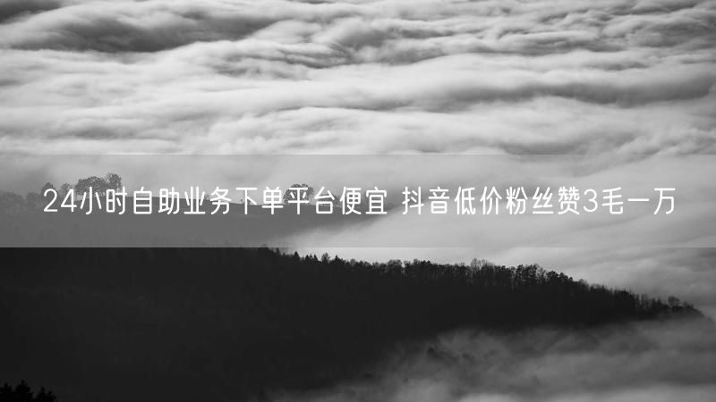 24小时自助业务下单平台便宜 抖音低价粉丝赞3毛一万