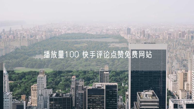 播放量100 快手评论点赞免费网站