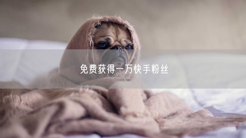 免费获得一万快手粉丝