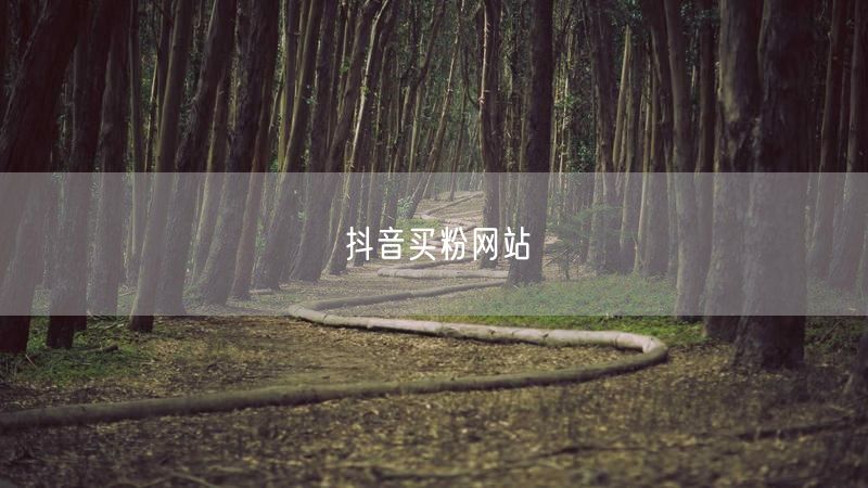 抖音买粉网站