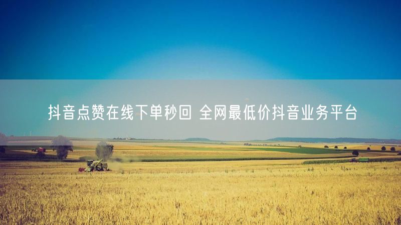 抖音点赞在线下单秒回 全网最低价抖音业务平台