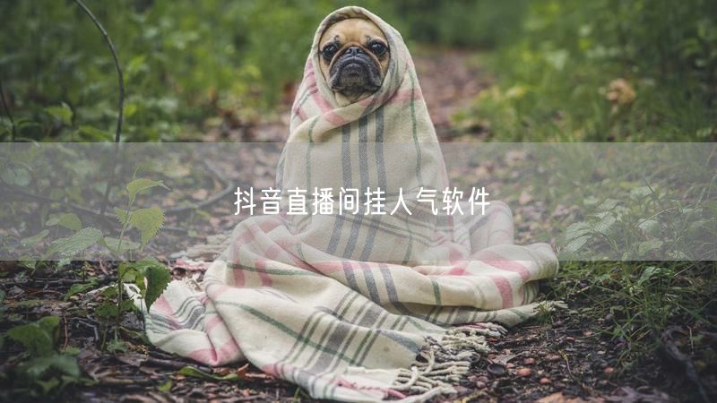 抖音直播间挂人气软件