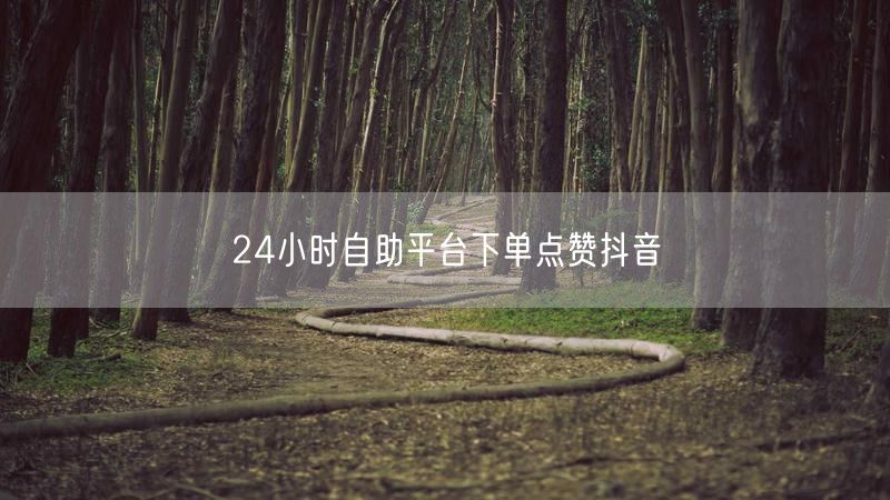 24小时自助平台下单点赞抖音