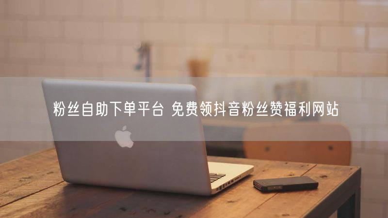 粉丝自助下单平台 免费领抖音粉丝赞福利网站