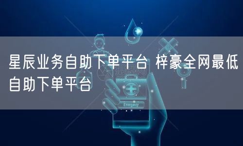 星辰业务自助下单平台 梓豪全网最低自助下单平台