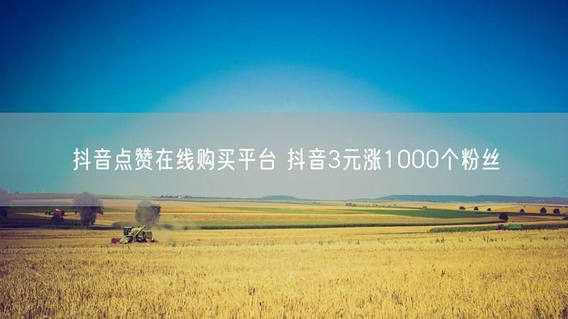 抖音点赞在线购买平台 抖音3元涨1000个粉丝