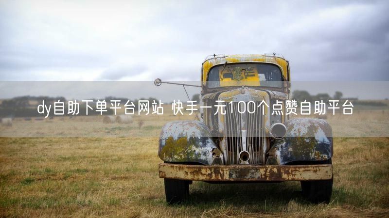dy自助下单平台网站 快手一元100个点赞自助平台
