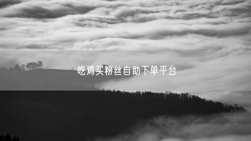 吃鸡买粉丝自助下单平台