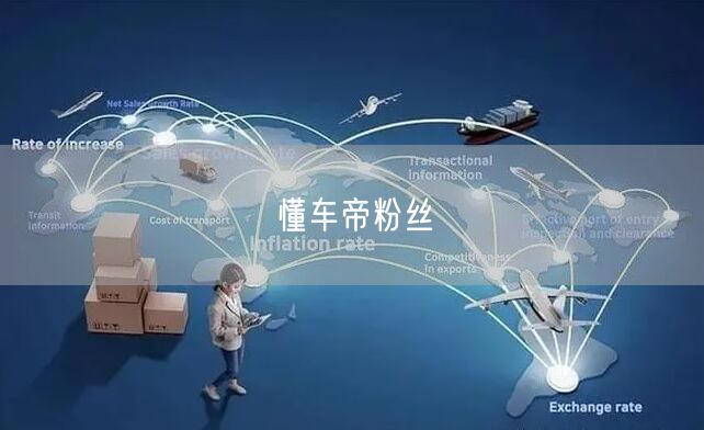 懂车帝粉丝