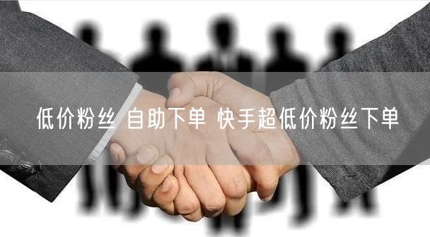 低价粉丝 自助下单 快手超低价粉丝下单