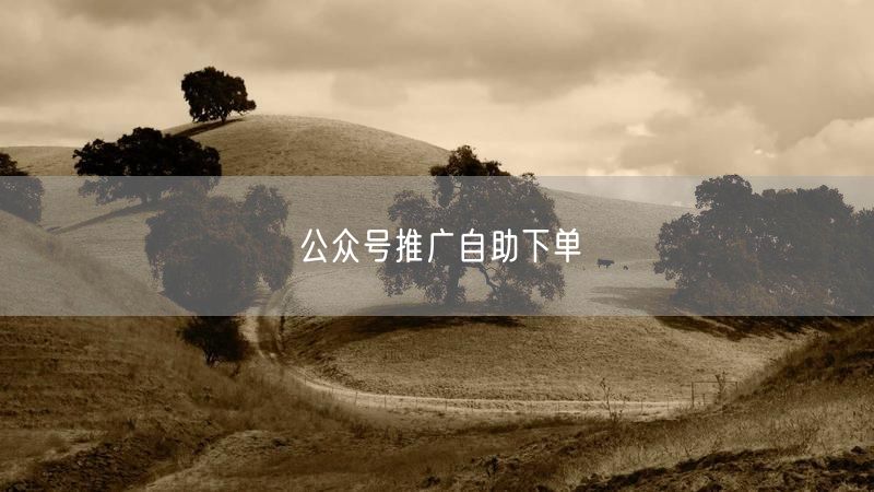 公众号推广自助下单