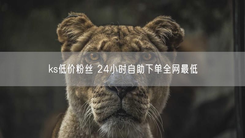 ks低价粉丝 24小时自助下单全网最低