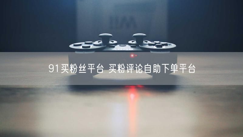 91买粉丝平台 买粉评论自助下单平台