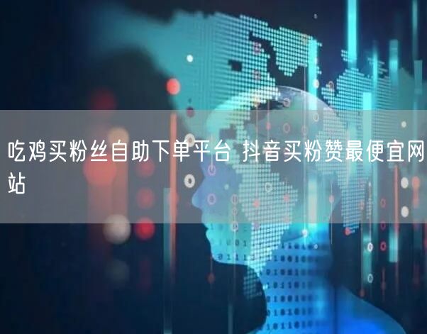 吃鸡买粉丝自助下单平台 抖音买粉赞最便宜网站
