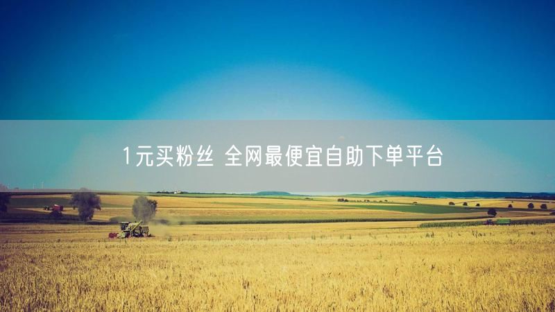 1元买粉丝 全网最便宜自助下单平台