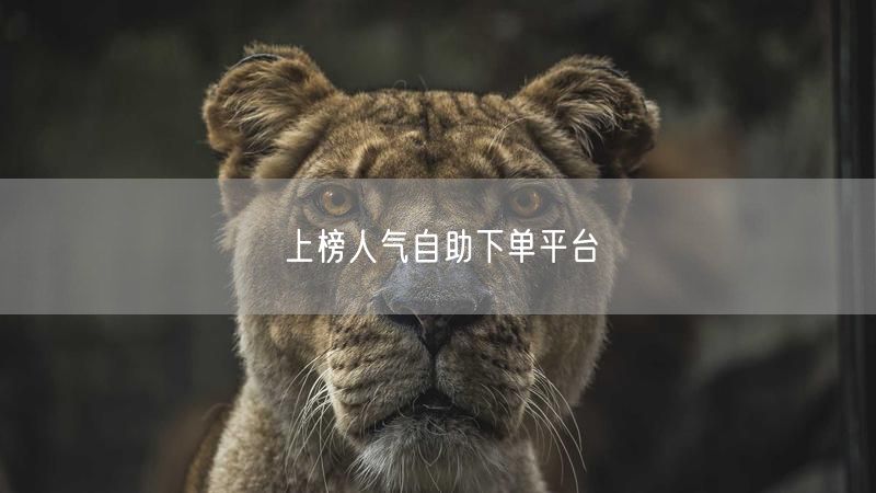 上榜人气自助下单平台