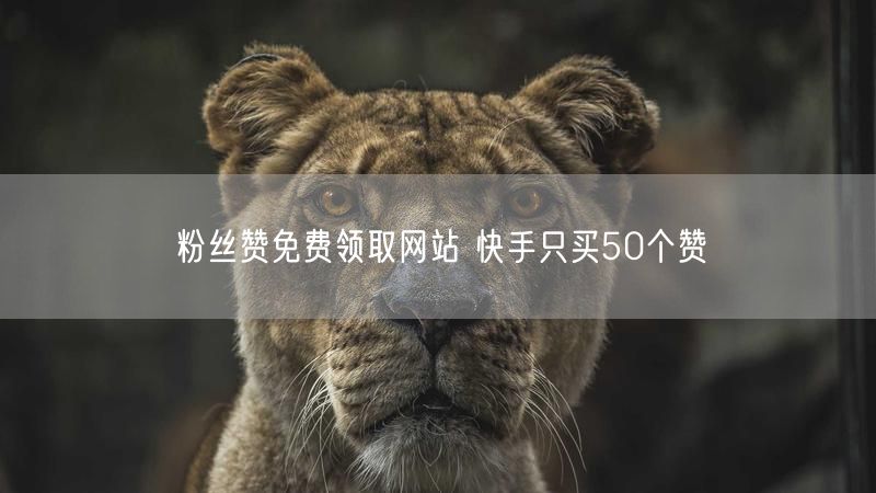 粉丝赞免费领取网站 快手只买50个赞