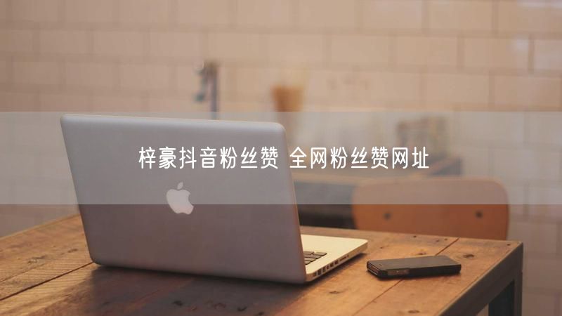 梓豪抖音粉丝赞 全网粉丝赞网址