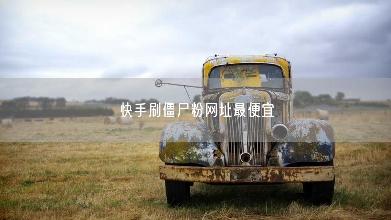 快手刷僵尸粉网址最便宜
