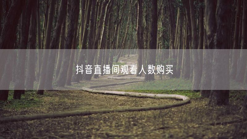 抖音直播间观看人数购买
