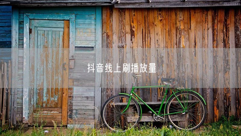 抖音线上刷播放量