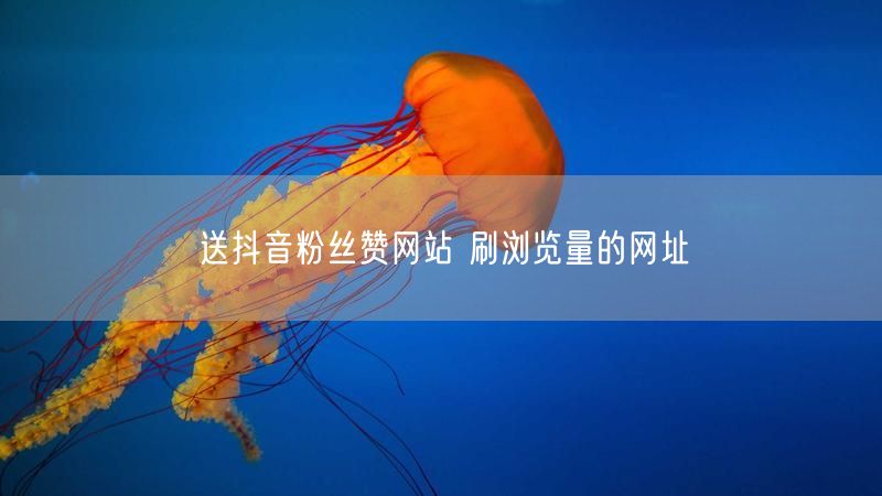 送抖音粉丝赞网站 刷浏览量的网址