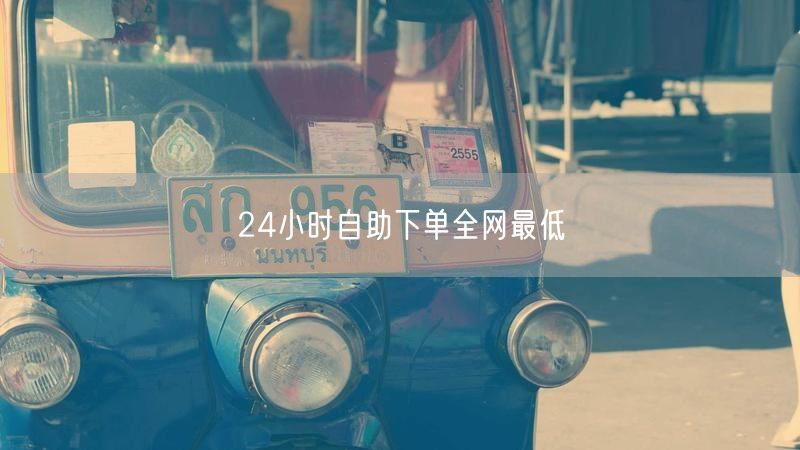 24小时自助下单全网最低