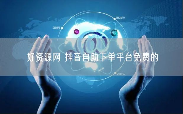 好资源网 抖音自助下单平台免费的