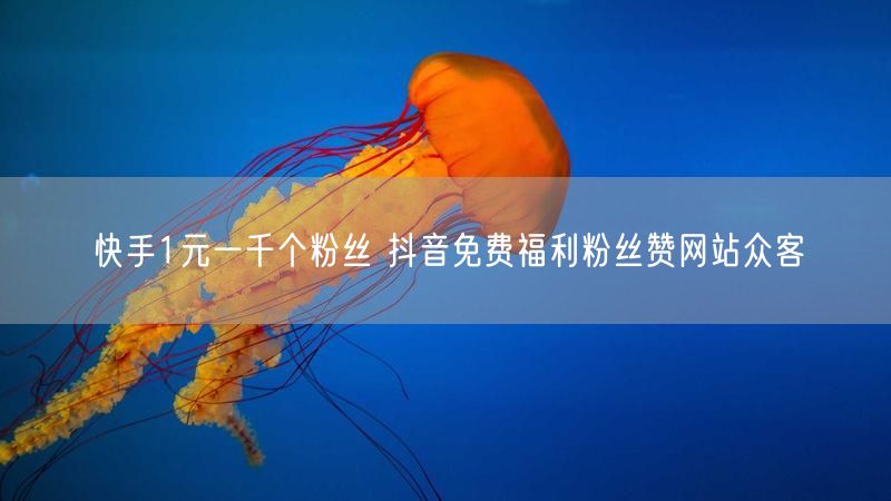 快手1元一千个粉丝 抖音免费福利粉丝赞网站众客