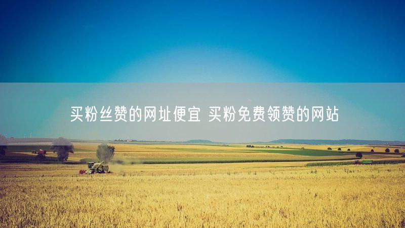 买粉丝赞的网址便宜 买粉免费领赞的网站