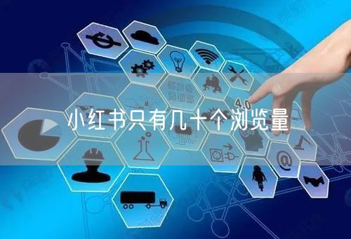 小红书只有几十个浏览量