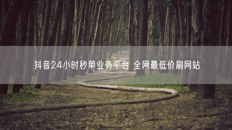 抖音24小时秒单业务平台 全网最低价刷网站