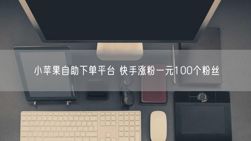 小苹果自助下单平台 快手涨粉一元100个粉丝