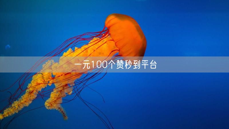 一元100个赞秒到平台