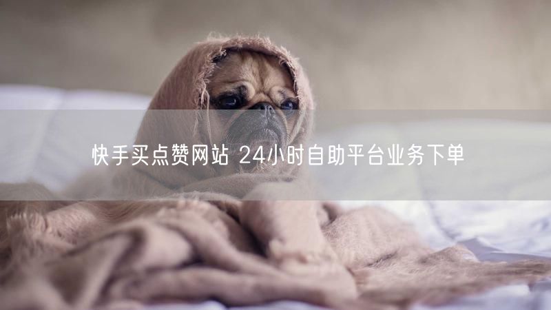 快手买点赞网站 24小时自助平台业务下单