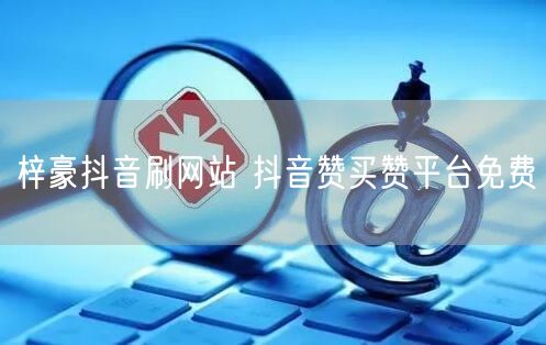 梓豪抖音刷网站 抖音赞买赞平台免费