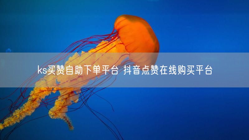 ks买赞自助下单平台 抖音点赞在线购买平台