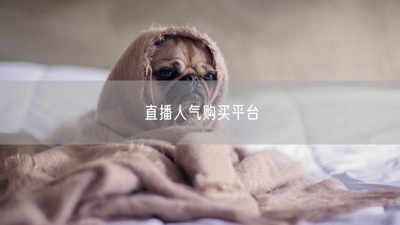 直播人气购买平台