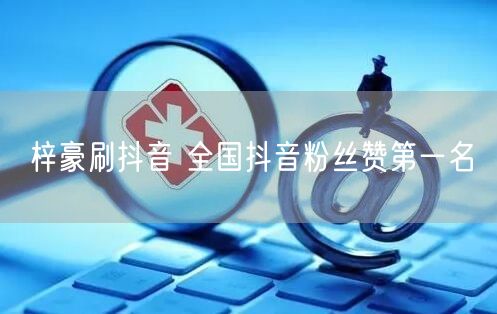 梓豪刷抖音 全国抖音粉丝赞第一名
