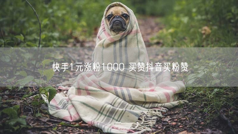 快手1元涨粉1000 买赞抖音买粉赞