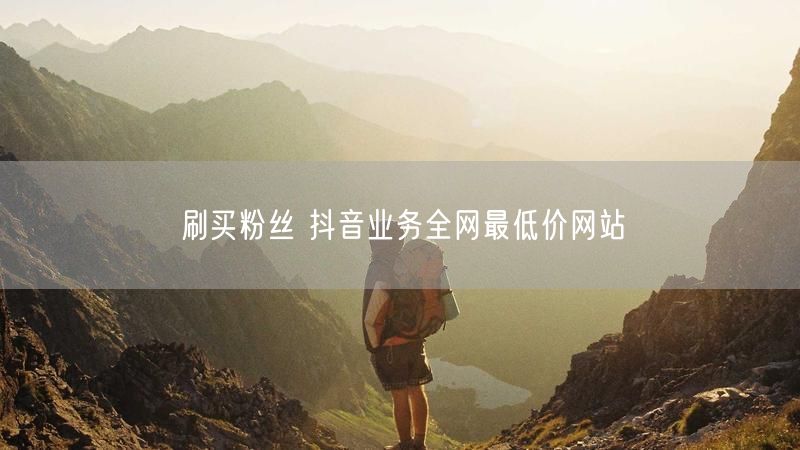 刷买粉丝 抖音业务全网最低价网站