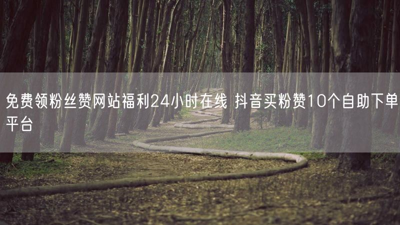 免费领粉丝赞网站福利24小时在线 抖音买粉赞10个自助下单平台