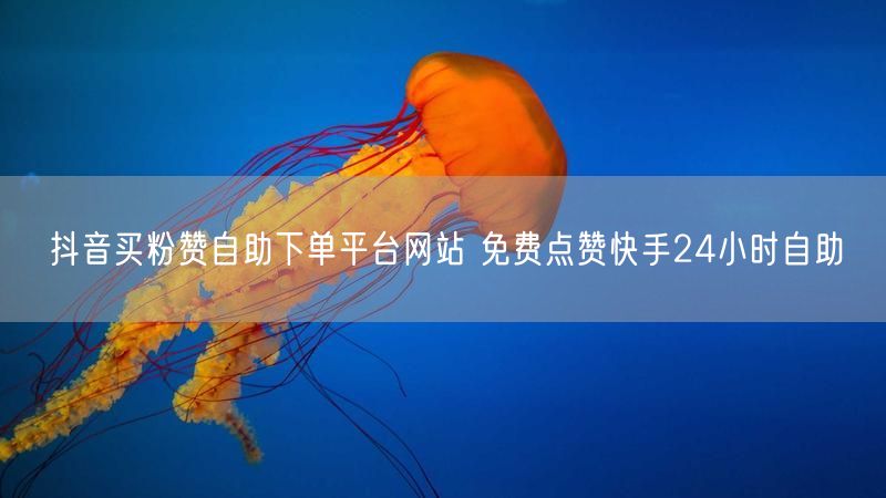 抖音买粉赞自助下单平台网站 免费点赞快手24小时自助