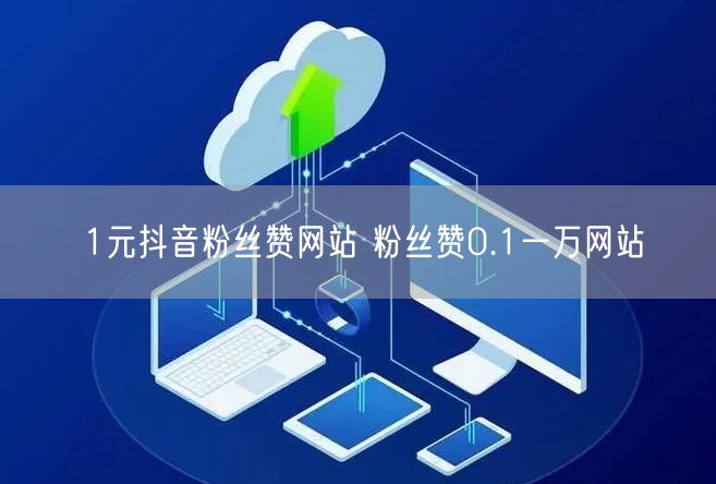 1元抖音粉丝赞网站 粉丝赞0.1一万网站