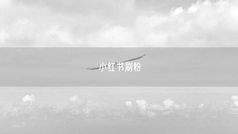 小红书刷粉
